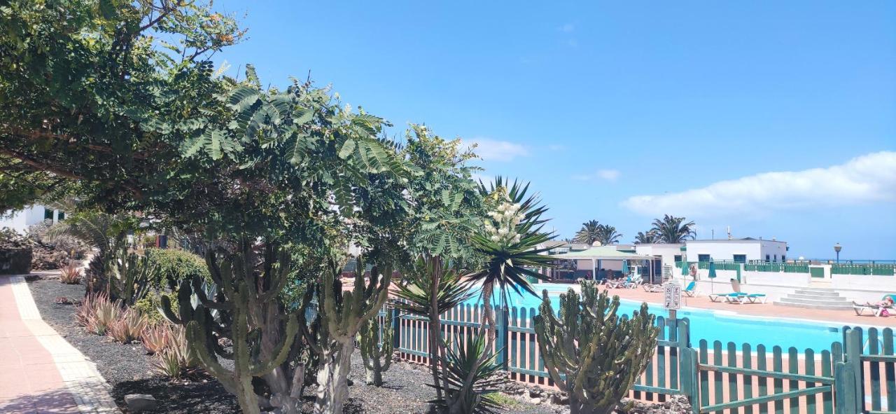 Casa Alice Cocosol Villa Costa De Antigua Ngoại thất bức ảnh