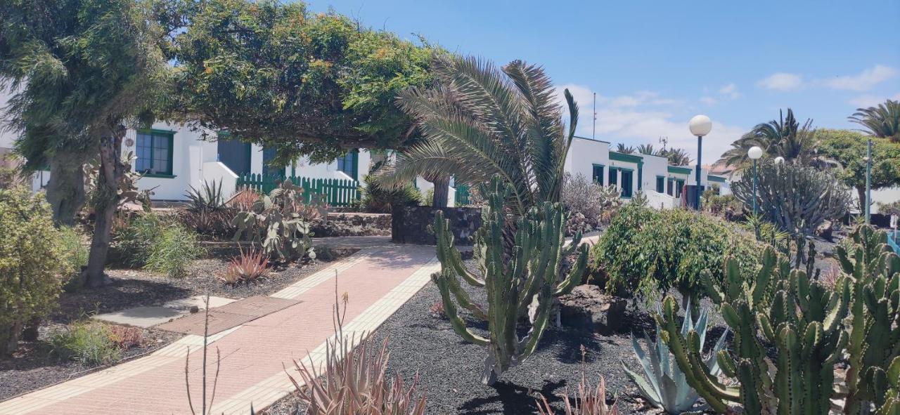 Casa Alice Cocosol Villa Costa De Antigua Ngoại thất bức ảnh